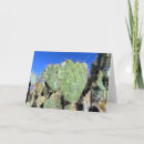 Search for prickly cards Desert