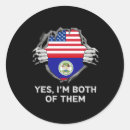 Search for belizean stickers Belise flag