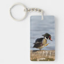 Search for cavities accessories Bird