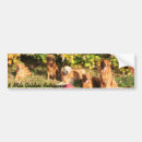 Search for dog breed bumper stickers Car