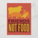 Search for farm pig postcards Cow