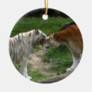Search for bengal cat christmas tree decorations Cats