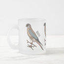 Search for kestrel mugs Bird