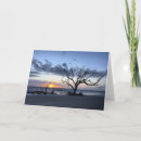Search for islander cards Blank inside