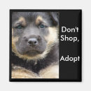 Search for adoption magnets Animals