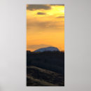 Search for buffalo posters Nature