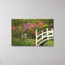 Search for carolina art Nature