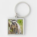 Search for furry square key rings Baby
