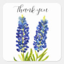 Search for texas state flower stickers Floral