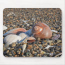 Search for ocean beach mouse mats Shells