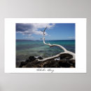 Search for tree branches posters Beach