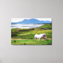 Search for horse canvas prints Europe