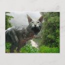 Search for prehistoric postcards Big