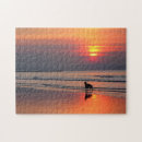 Search for irish setter puzzles Ireland