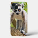 Search for be the lemur electronics Adorable