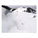 Search for downhill skis posters Powder