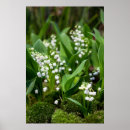Search for moss posters Flower