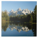 Search for evergreen tiles Blue
