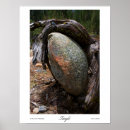Search for tree roots posters Rocks