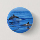 Search for dolphin badges Blue