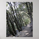 Search for path posters Green