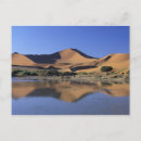 Search for namib postcards Scenic