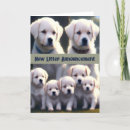 Search for new puppy announcement postcards Puppies