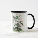 Search for reptile mugs Insects