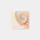 Search for nautilus shells Fibonacci