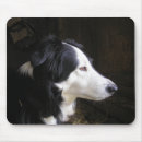 Search for sheep dog mouse mats Herding
