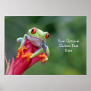 Search for will be toad art Nature