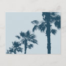 Search for blue palm tree postcards Vintage