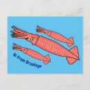 Search for squids postcards Sea creatures