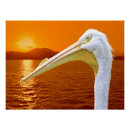 Search for american wildlife posters Animal