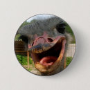 Search for ostrich round badges Birds