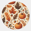 Search for acorn stickers Colourful