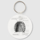 Search for anatomy key rings Science