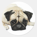 Search for pugs stickers Watercolor