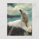 Search for cloud background postcards Climate