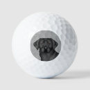 Search for labrador retriever golf balls Black lab