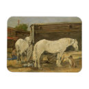 Search for gypsy magnets Horses
