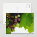 Search for vines postcards Nature