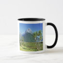 Search for south island new zealand mugs National park