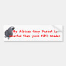 Search for parrot bumper stickers African