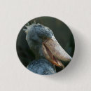 Search for beak badges Nature