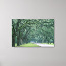 Search for savannah canvas prints Oak tree