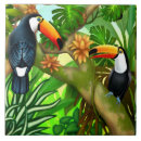 Search for brasil tiles Toucan