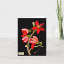 Search for flower background cards Red