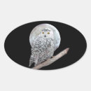 Search for snowy owl stickers Moon