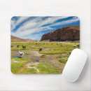 Search for andes mountain mouse mats Mountains